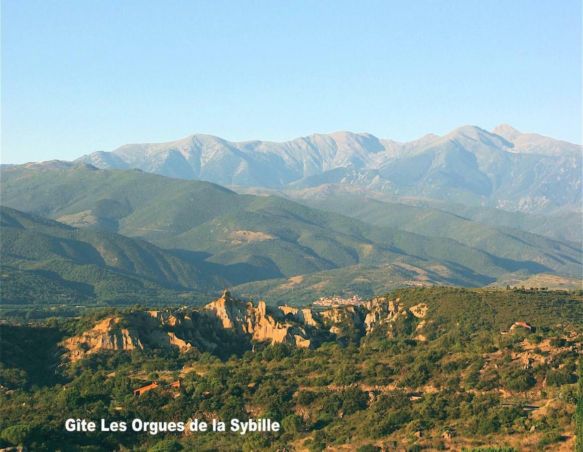 Gite Des Orgues De La Sybille Agave Canigou 外观 照片